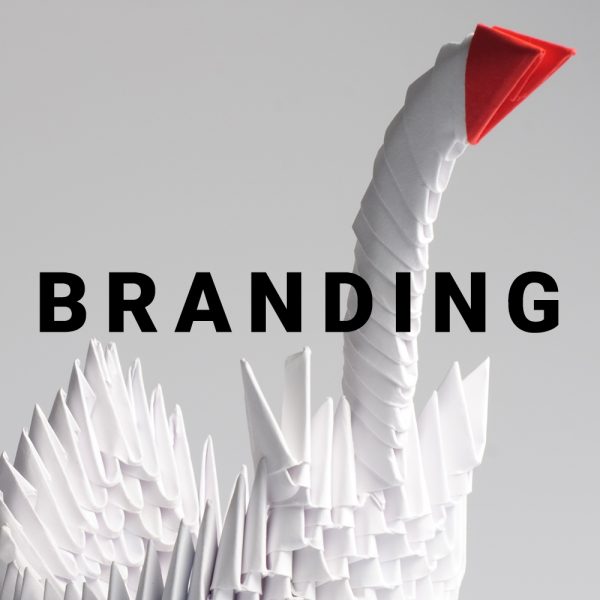 Branding cigno origami