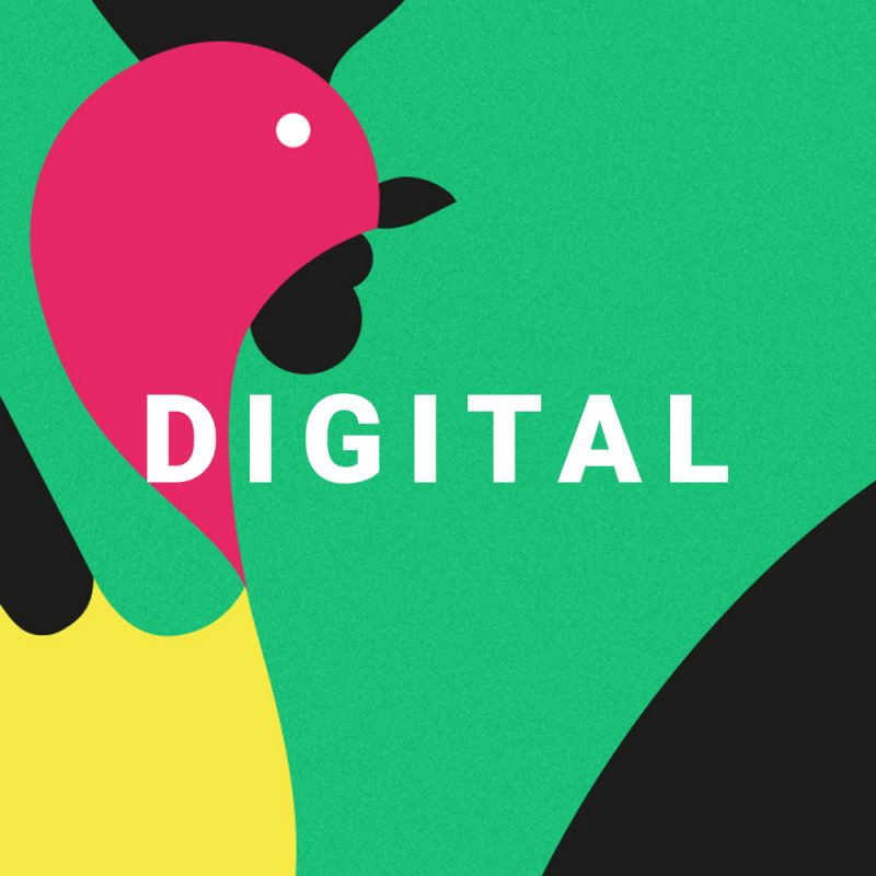 Digital gallo colori